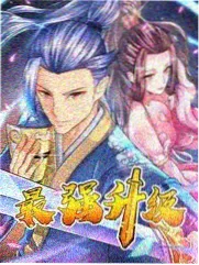 花房片目卡片：弹幕密度与画面遮挡示意